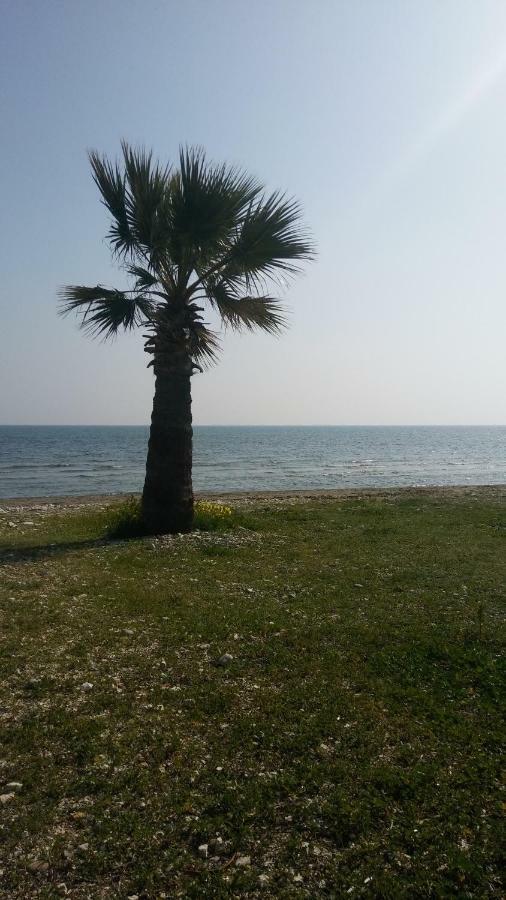 Il Mare Villa Larnaca Dış mekan fotoğraf